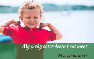 No meat? Are you worried your picky eater is iron deficient? When I speak to parents of picky eaters, the worry that their child is iron deficient is often front of mind #supportingapickyeater #supportingafussyeater #pickyeater # pickyeating #helppickyeater #helpfussyeater #helpingpickyeater #helpingfussyeater #helppickyeating #helpfussyeating #fussyeating #judithyeabsley #fussyeater #theconfidenteater #addingfoods #wellington #NZ #addingiron