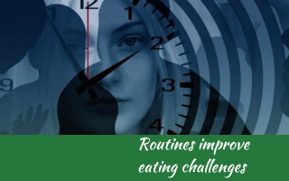 Routines improve eating challenges Judith Yeabsley|Fussy Eating NZ, #TheConfidentEater, #FussyEatingNZ, #TryNewFoods #HelpForFussyEating, #HelpForFussyEaters, #FussyEater, #FussyEating, #PickyEater, #PickyEating, #SupportForFussyEaters, #SupportForPickyEaters, #CreatingConfidentEaters, #TryNewFood #PickyEatingNZ #HelpForPickyEaters, #HelpForPickyEating, #Wellington, #NZ, #JudithYeabsley