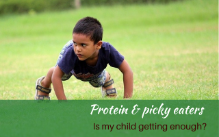Protein and picky eaters. Getting the nutrients they need. #proteinforpickyeaters #helpforpickyeaters #helpforpickyeating #Foodforpickyeaters #theconfidenteater #wellington #NZ #judithyeabsley #helpforfussyeating #helpforfussyeaters #fussyeater #fussyeating #pickyeater #picky eating #supportforpickyeaters #theconfidenteater #creatingconfidenteaters #newfoods #bookforpickyeaters