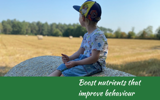 Boost nutrients that improve behaviour Judith Yeabsley|Fussy Eating NZ, #TheConfidentEater, #FussyEatingNZ, #TryNewFoods #HelpForFussyEating, #HelpForFussyEaters, #FussyEater, #FussyEating, #PickyEater, #PickyEating, #SupportForFussyEaters, #SupportForPickyEaters, #CreatingConfidentEaters, #TryNewFood #PickyEatingNZ #HelpForPickyEaters, #HelpForPickyEating, #Wellington, #NZ, #JudithYeabsley