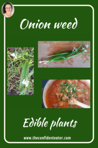 Onion weeds – Edible plants, JudithYeabsley/FussyEatingNZ, #OnionWeeds, #JudithYeabsley|FussyEatingNZ, #TheConfidentEater, #Wellington, #NZ, #FussyEating, #PickyEating #HelpForPickyEaters, #HelpForPickyEating, #FoodForPickyEaters, #HelpForFussyEating, #HelpForFussyEaters, #FussyEater, #FussyEating, #PickyEater, #PickyEating, #SupportForPickyEaters, #CreatingConfidentEaters, #WinnerWinnerIEatDinner, #FixFussyEatingNZ, #FunFoodsForPickyEaters, #FunFoodsForFussyEaters