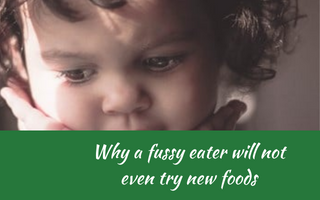 Why a fussy eater won’t even try new food. Fussy eaters NZ, Judith Yeabsley|Fussy Eating NZ, child in charge, #whyfussyeaterswonttrynewfood, #whypickyeaterswonttrynewfood, #helpaddingfoodsfussyeating, #helpfortoddlerfussyeaters, #helpfortoddlerpickyeaters, #helpaddingfoodforpickyeaters, #theconfidenteater, #fussyeatingNZ, #pickyeatingNZ #helpforpickyeaters, #helpforpickyeating, #recipespickyeaterswilleat, #recipesfussyeaterswilleat #winnerwinnerIeatdinner, #Recipesforpickyeaters, #Foodforpickyeaters, #wellington, #NZ, #judithyeabsley, #helpforfussyeating, #helpforfussyeaters, #fussyeater, #fussyeating, #pickyeater, #pickyeating, #supportforpickyeaters, #creatingconfidenteaters, #newfoods, #bookforpickyeaters, #thepickypack, #funfoodsforpickyeaters, #funfoodsdforfussyeaters