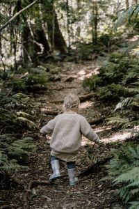 Why a fussy eater won’t even try new food. Fussy eaters NZ, Judith Yeabsley|Fussy Eating NZ, toddler in woods, #whyfussyeaterswonttrynewfood, #whypickyeaterswonttrynewfood, #helpaddingfoodsfussyeating, #helpfortoddlerfussyeaters, #helpfortoddlerpickyeaters, #helpaddingfoodforpickyeaters, #theconfidenteater, #fussyeatingNZ, #pickyeatingNZ #helpforpickyeaters, #helpforpickyeating, #recipespickyeaterswilleat, #recipesfussyeaterswilleat #winnerwinnerIeatdinner, #Recipesforpickyeaters, #Foodforpickyeaters, #wellington, #NZ, #judithyeabsley, #helpforfussyeating, #helpforfussyeaters, #fussyeater, #fussyeating, #pickyeater, #pickyeating, #supportforpickyeaters, #creatingconfidenteaters, #newfoods, #bookforpickyeaters, #thepickypack, #funfoodsforpickyeaters, #funfoodsdforfussyeaters