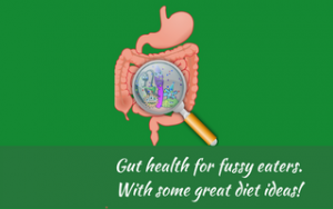 Gut health for fussy eaters Judith Yeabsley|Fussy Eating NZ, Gut health, #guthealth, #guthealthforfussyeaters, #guthealthforpickyeaters, #helpaddingfoodsfussyeating, #helpfortoddlerfussyeaters, #helpfortoddlerpickyeaters, #helpaddingfoodforpickyeaters, #theconfidenteater, #fussyeatingNZ, #pickyeatingNZ #helpforpickyeaters, #helpforpickyeating, #recipespickyeaterswilleat, #recipesfussyeaterswilleat #winnerwinnerIeatdinner, #Recipesforpickyeaters, #Foodforpickyeaters, #wellington, #NZ, #judithyeabsley, #helpforfussyeating, #helpforfussyeaters, #fussyeater, #fussyeating, #pickyeater, #pickyeating, #supportforpickyeaters, #creatingconfidenteaters, #newfoods, #bookforpickyeaters, #thepickypack, #funfoodsforpickyeaters, #funfoodsdforfussyeaters