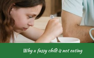 Why a fussy child is not eating, Judith Yeabsley|Fussy Eating NZ, mandarins, #whyafussychildisnoteating, #whyapickychildisnoteating, #helpaddingfoodsfussyeating, #helpfortoddlerfussyeaters, #helpfortoddlerpickyeaters, #helpaddingfoodforpickyeaters, #theconfidenteater, #fussyeatingNZ, #pickyeatingNZ #helpforpickyeaters, #helpforpickyeating, #recipespickyeaterswilleat, #recipesfussyeaterswilleat #winnerwinnerIeatdinner, #Recipesforpickyeaters, #Foodforpickyeaters, #wellington, #NZ, #judithyeabsley, #helpforfussyeating, #helpforfussyeaters, #fussyeater, #fussyeating, #pickyeater, #pickyeating, #supportforpickyeaters, #creatingconfidenteaters, #newfoods, #bookforpickyeaters, #thepickypack, #funfoodsforpickyeaters, #funfoodsdforfussyeaters