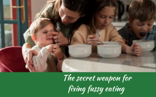 The secret weapon for fixing fussy eating, Judith Yeabsley|Fussy Eating NZ, #TheConfidentEater, #FussyEatingNZ, #TryNewFoods #HelpForFussyEating, #HelpForFussyEaters, #FussyEater, #FussyEating, #PickyEater, #PickyEating, #SupportForFussyEaters, #SupportForPickyEaters, #CreatingConfidentEaters, #TryNewFood #PickyEatingNZ #HelpForPickyEaters, #HelpForPickyEating, #Wellington, #NZ, #JudithYeabsley