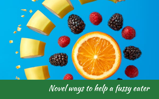 Novel ways to help a fussy eater, Judith Yeabsley|Fussy Eating NZ, #TheConfidentEater, #FussyEatingNZ, #TryNewFoods #HelpForFussyEating, #HelpForFussyEaters, #FussyEater, #FussyEating, #PickyEater, #PickyEating, #SupportForFussyEaters, #SupportForPickyEaters, #CreatingConfidentEaters, #TryNewFood #PickyEatingNZ #HelpForPickyEaters, #HelpForPickyEating, #Wellington, #NZ, #JudithYeabsley