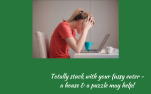 Totally stuck with your fussy eater?, Judith Yeabsley|Fussy Eating NZ, #TheConfidentEater, #FussyEatingNZ, #TryNewFoods #HelpForFussyEating, #HelpForFussyEaters, #FussyEater, #FussyEating, #PickyEater, #PickyEating, #SupportForFussyEaters, #SupportForPickyEaters, #CreatingConfidentEaters, #TryNewFood #PickyEatingNZ #HelpForPickyEaters, #HelpForPickyEating, #Wellington, #NZ, #JudithYeabsley