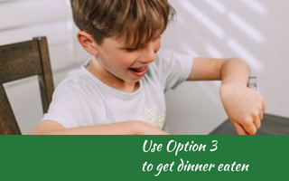 Use Option 3 to get dinner eaten, Judith Yeabsley|Fussy Eating NZ, #TheConfidentEater, #FussyEatingNZ, #TryNewFoods #HelpForFussyEating, #HelpForFussyEaters, #FussyEater, #FussyEating, #PickyEater, #PickyEating, #SupportForFussyEaters, #SupportForPickyEaters, #CreatingConfidentEaters, #TryNewFood #PickyEatingNZ #HelpForPickyEaters, #HelpForPickyEating, #Wellington, #NZ, #JudithYeabsley