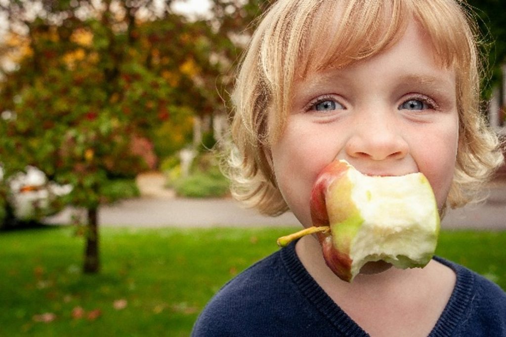 Holistic health for fussy eaters Judith Yeabsley|Fussy Eating NZ, #TheConfidentEater, #FussyEatingNZ, #TryNewFoods #HelpForFussyEating, #HelpForFussyEaters, #FussyEater, #FussyEating, #PickyEater, #PickyEating, #SupportForFussyEaters, #SupportForPickyEaters, #CreatingConfidentEaters, #TryNewFood #PickyEatingNZ #HelpForPickyEaters, #HelpForPickyEating, #Wellington, #NZ, #JudithYeabsley